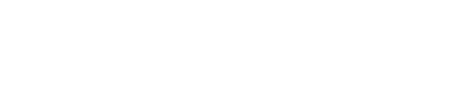 nanoex-logo-23